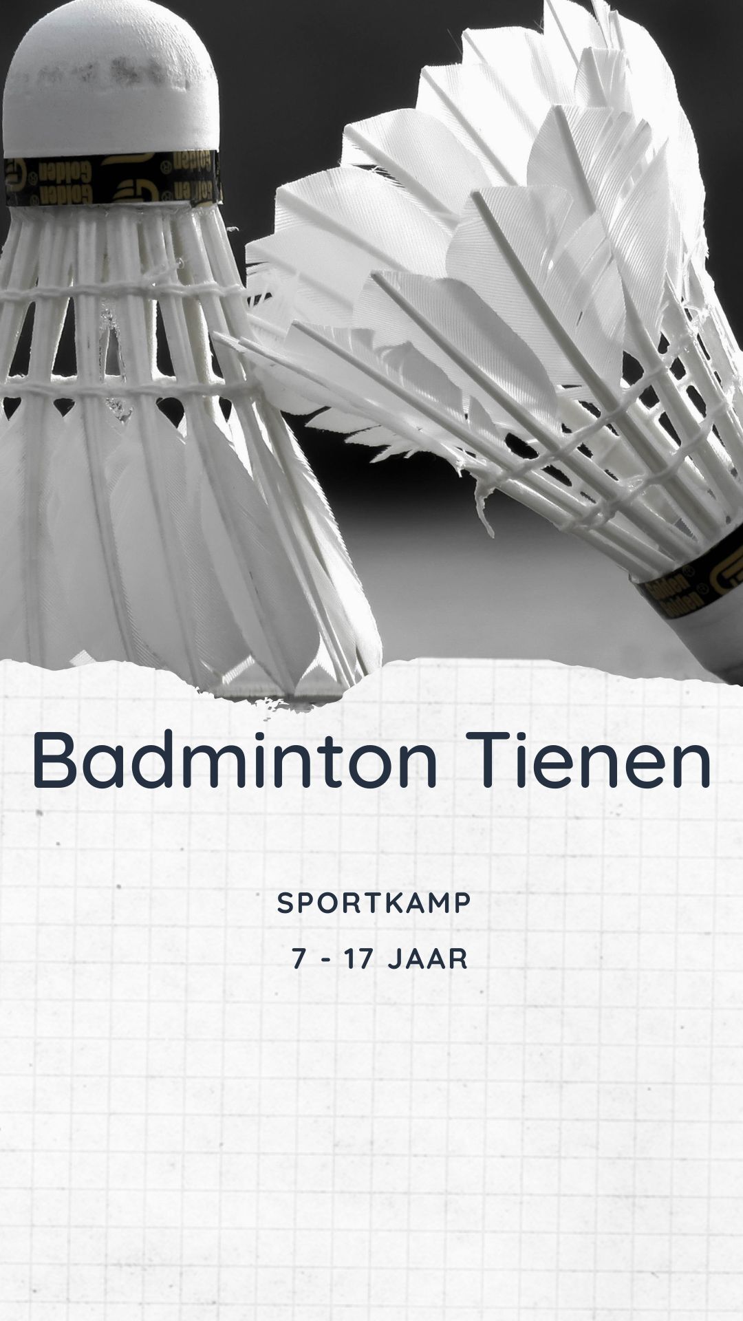 Badminton Tienen