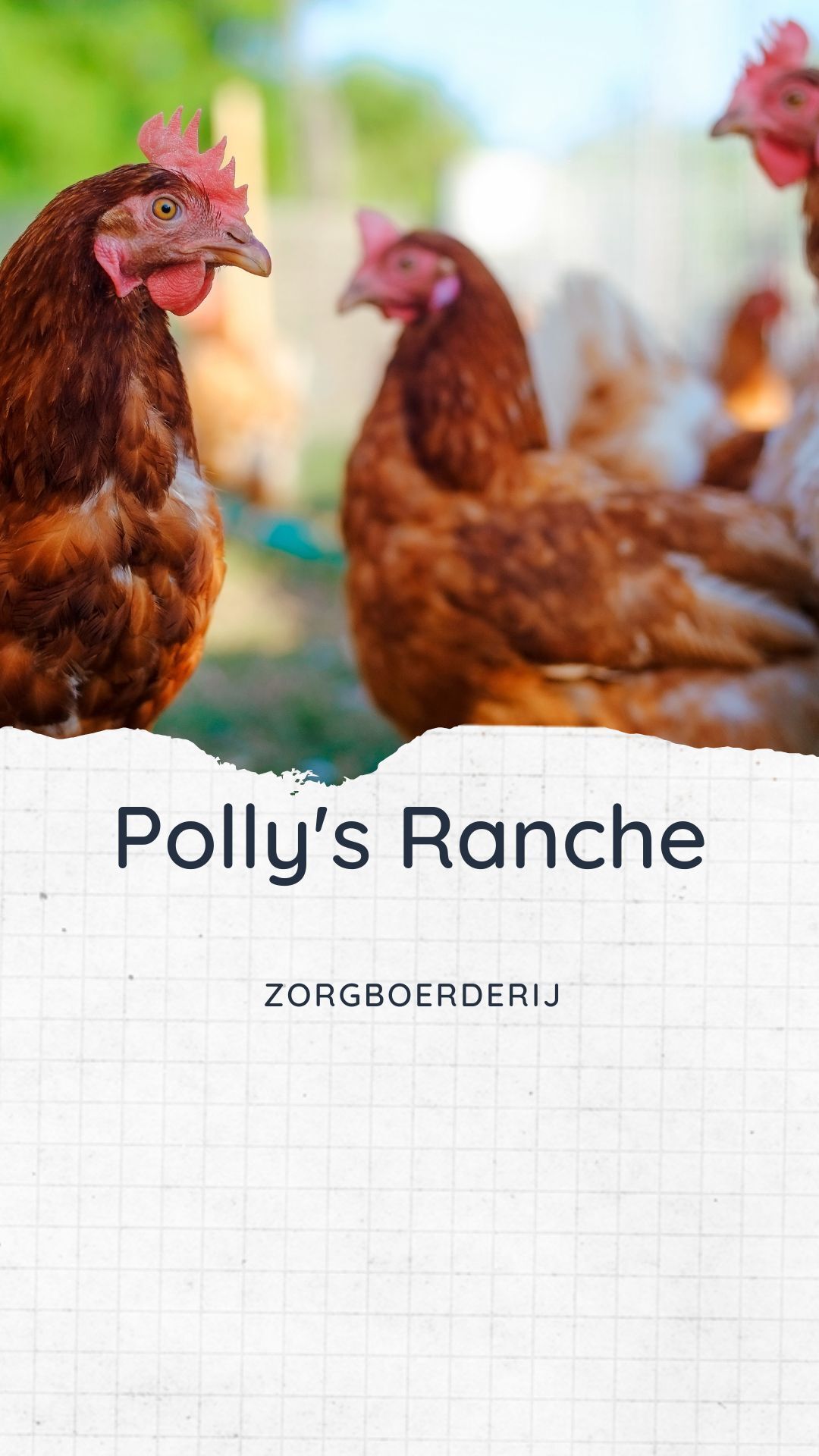 Polly's Ranch